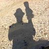 member's avatar