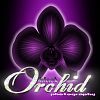 member's avatar
