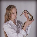 Louise et le python