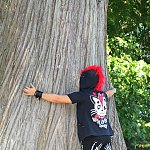 I love mister Tree