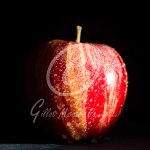La lumière et le fruit