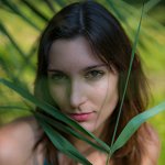 Féline