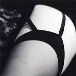 ana dentelle