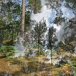 Fontainebleau