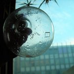 Cristal à Jussieu