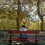 Banc