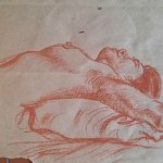 Colibris_20251213_104141