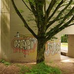 Tags