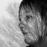 Regard sur la nature