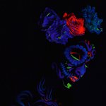 Dia De La Muerte