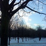 Neige