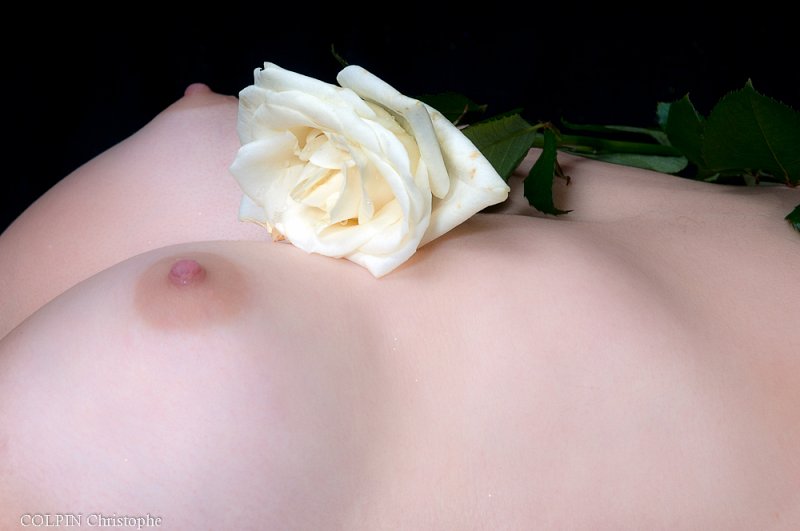 delicatesse