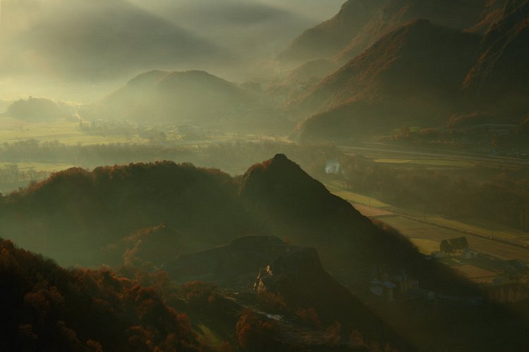 brume