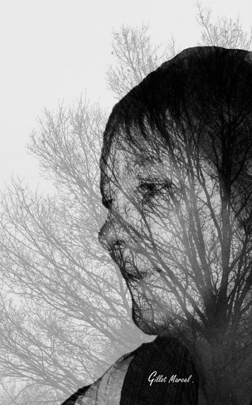 Regard sur la nature
