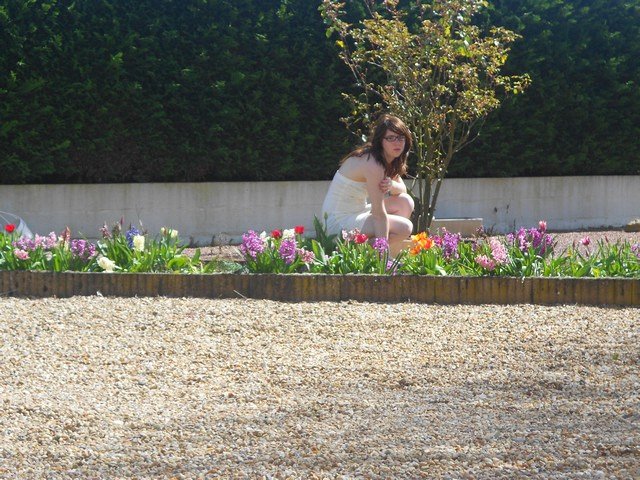 Le début du printemps