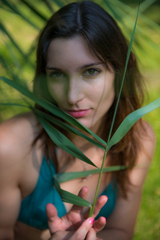 Féline
