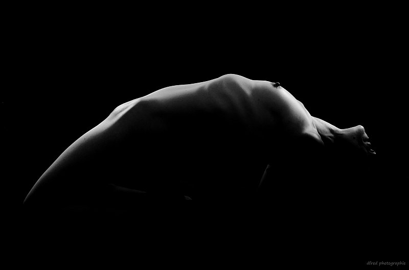 nu artistique