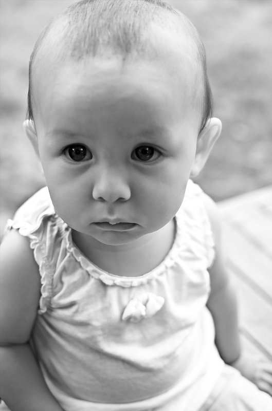 Bebe