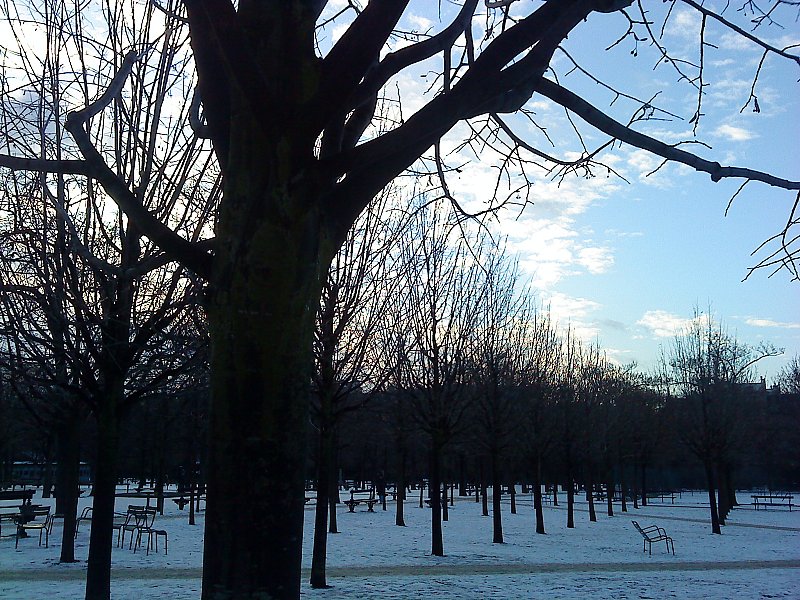 Neige